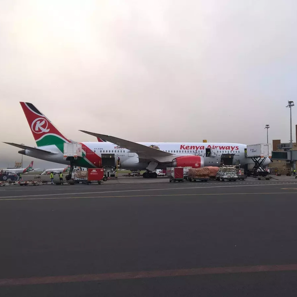 8 Days Heritage Classic Safari Airport