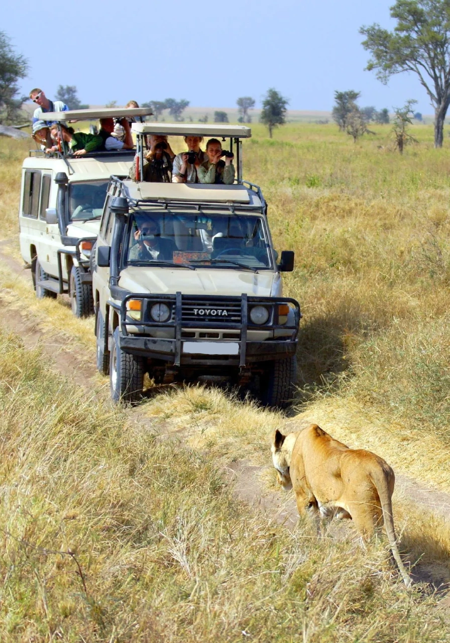 8 Days Heritage Classic Safari Gamedrive