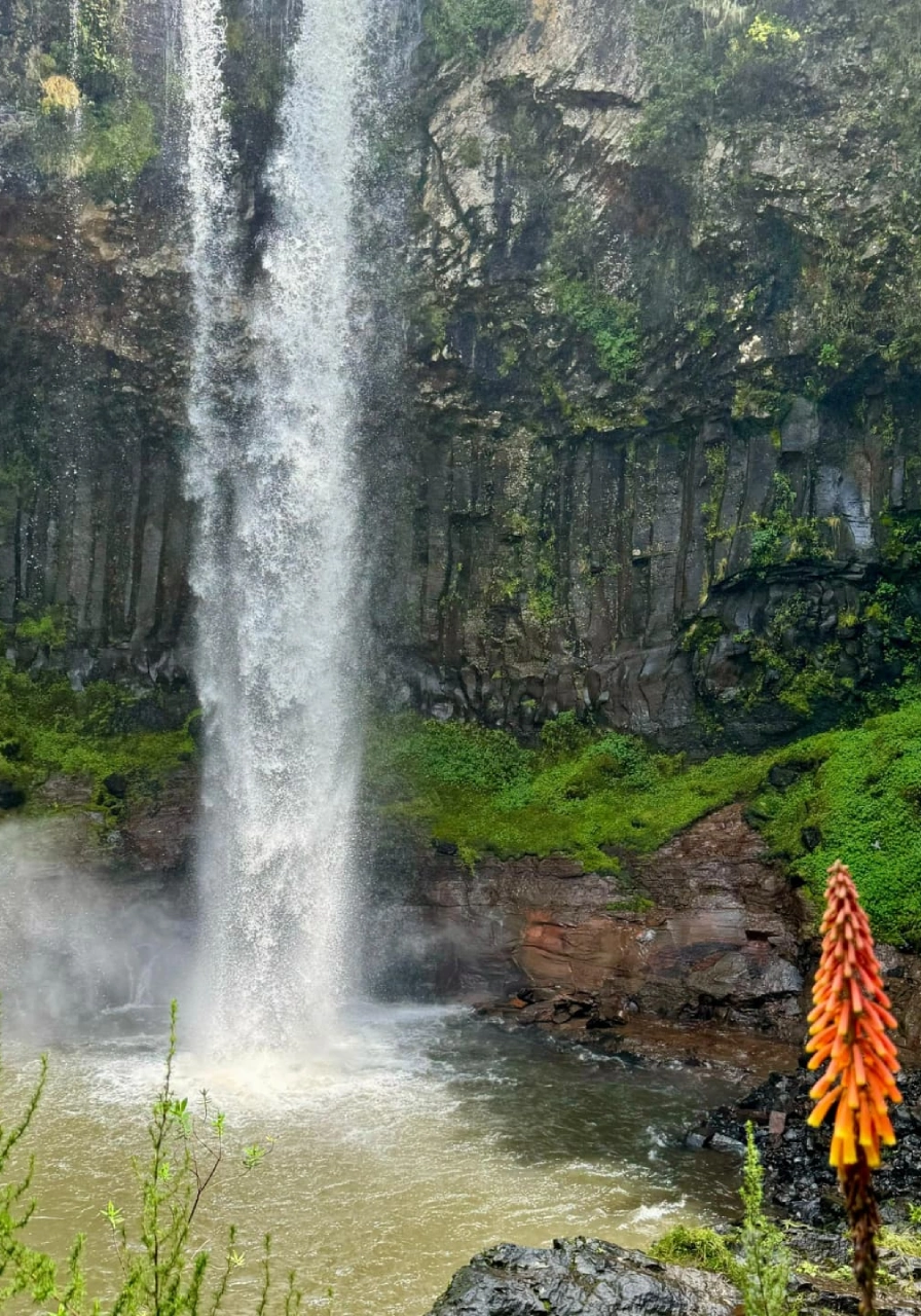 8 Days Heritage Classic Safari Attractions