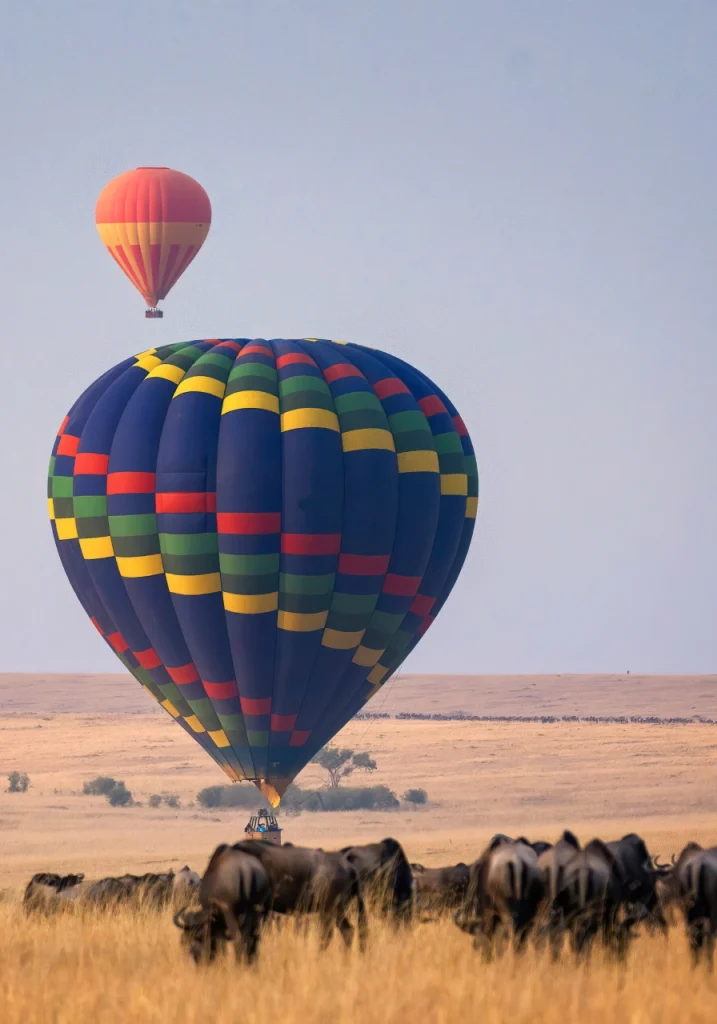 8 Days Intrepid Safari Attractions