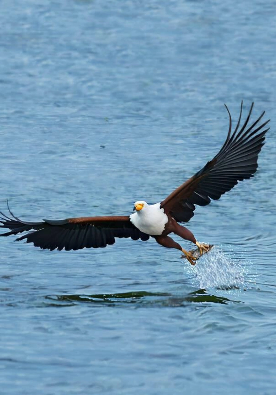 8 Days Intrepid Safari Attractions