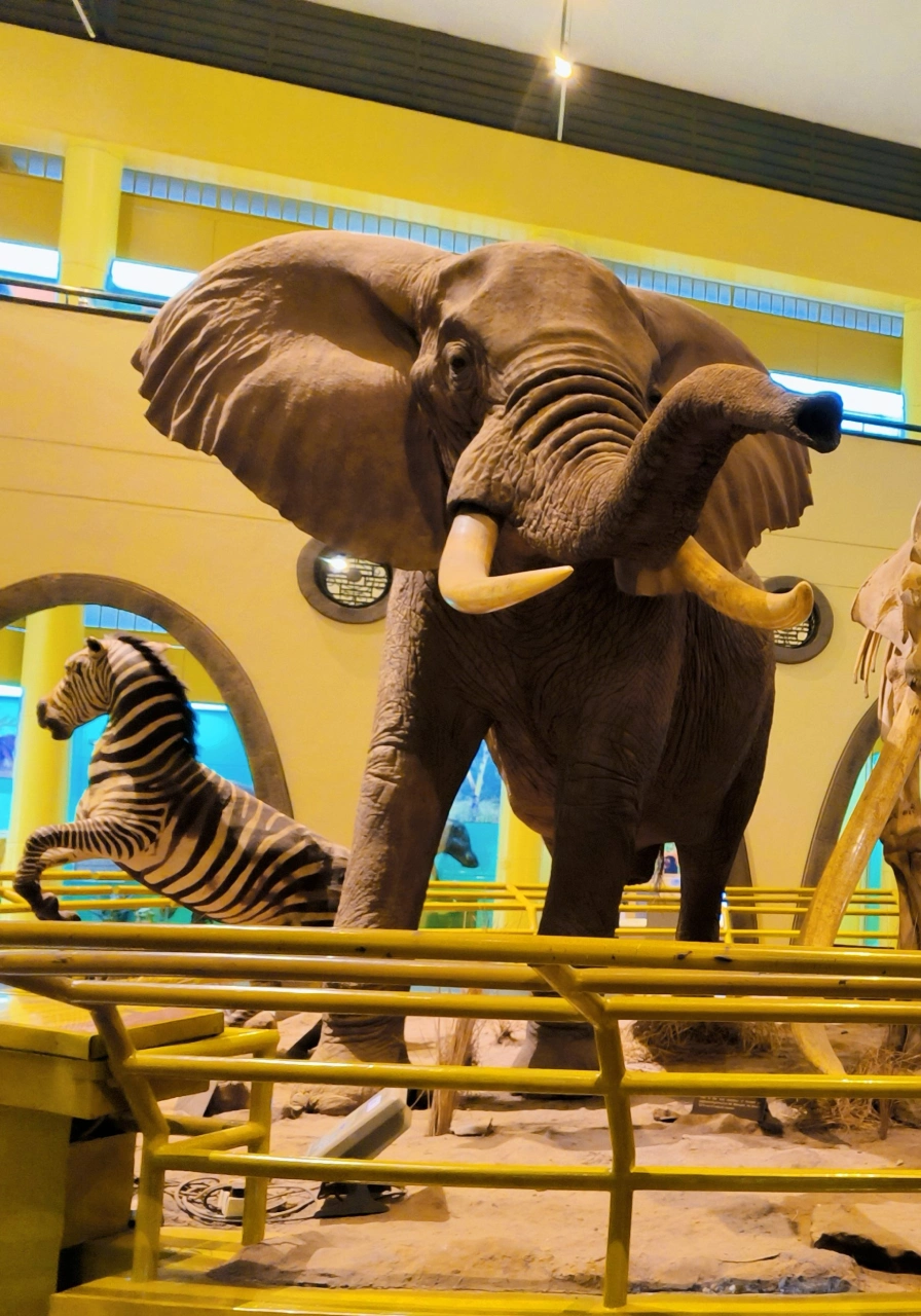 8 Days Intrepid Safari Attractions