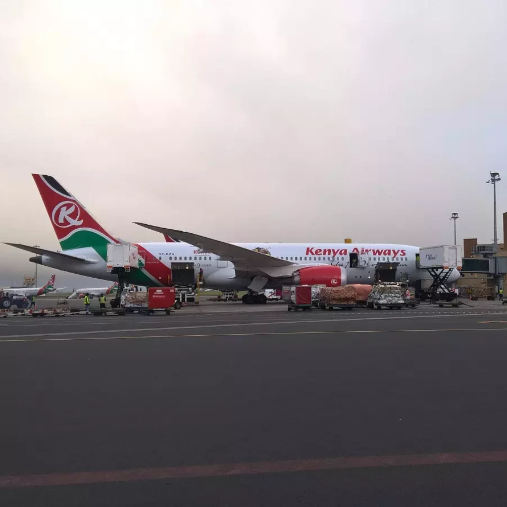 9 Days Wilderness Platinum Safari Airport