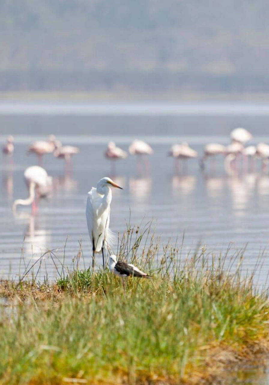 8-days-kenya-trail-safari-3