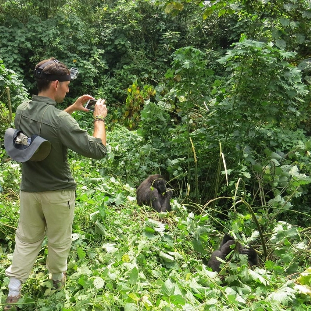 8 Days Rwanda Gorilla Trekking Safari Attractions
