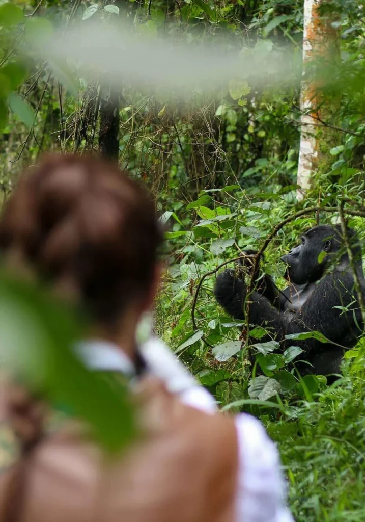 8 Days Rwanda Gorilla Trekking Safari Attractions