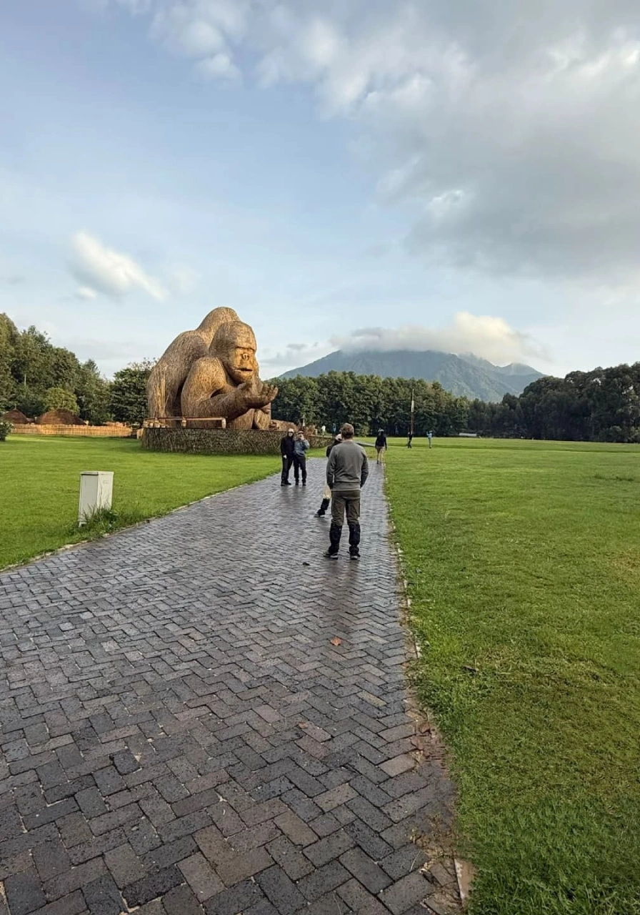 8 Days Rwanda Gorilla Trekking Safari Attractions