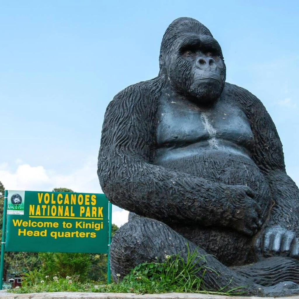 8 Days Rwanda Gorilla Trekking Safari Attractions