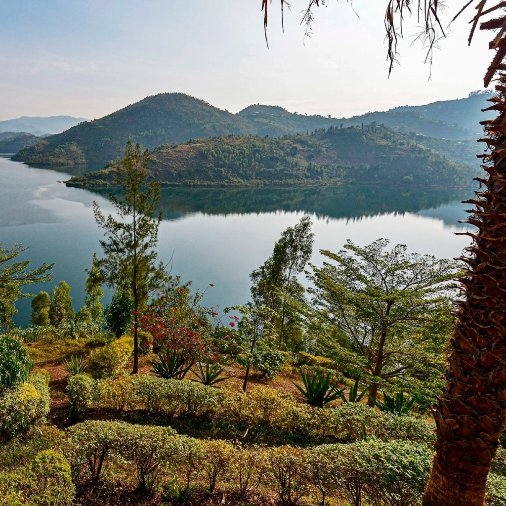 8 Days Rwanda Gorilla Trekking Safari Attractions