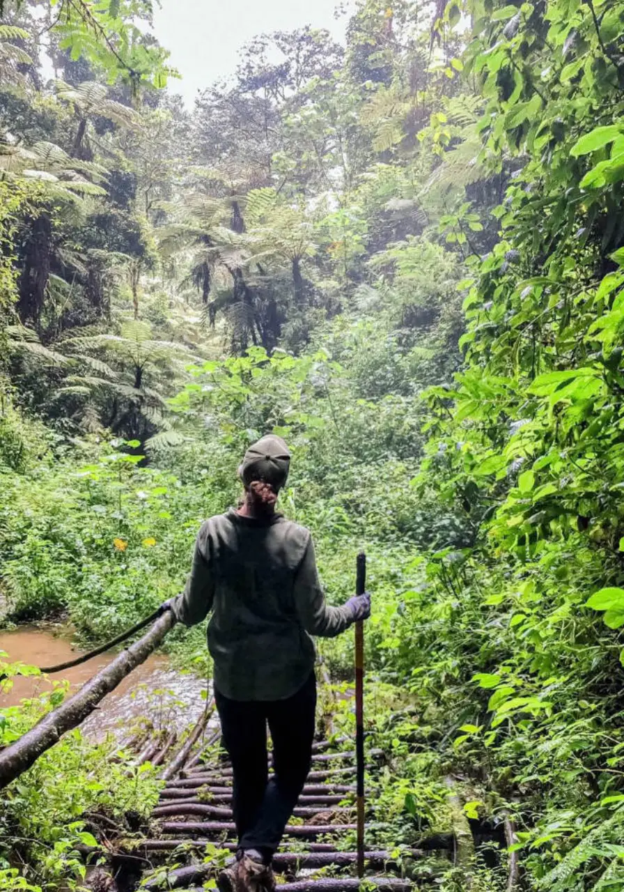 8-days-uganda-apes-and-forests-safari-5