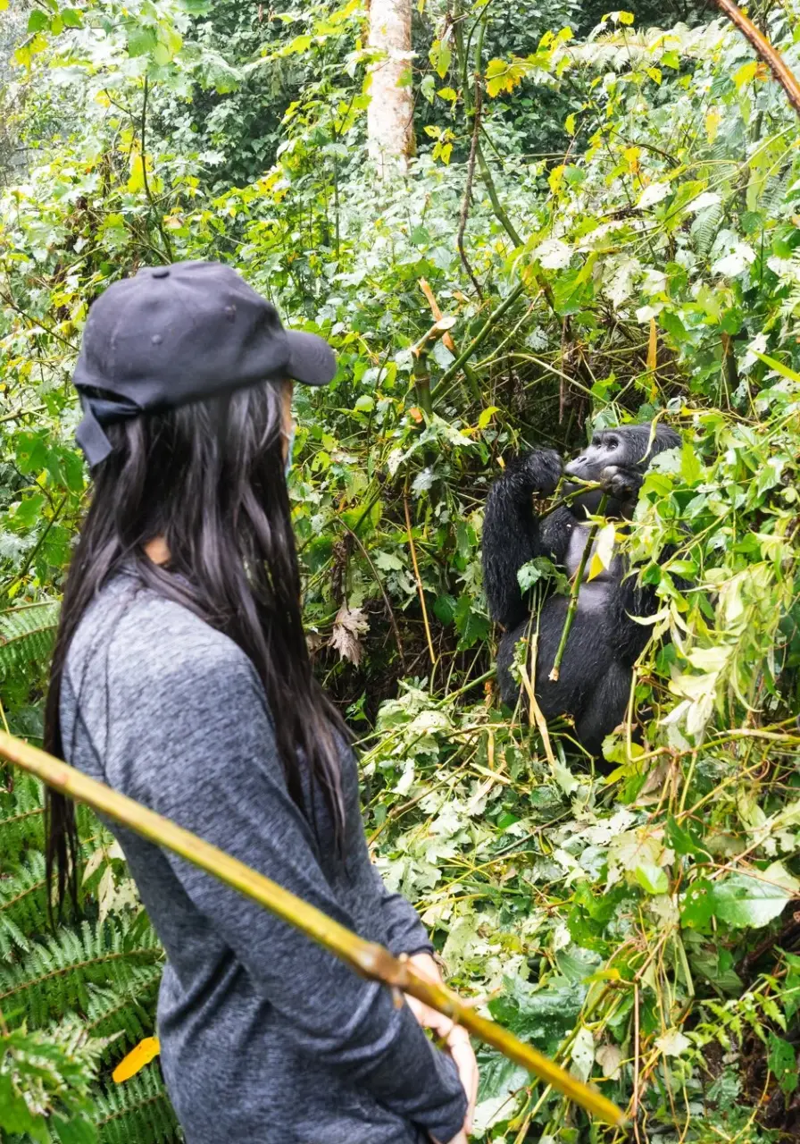 8-days-uganda-chimps-and-gorilla-safari-4