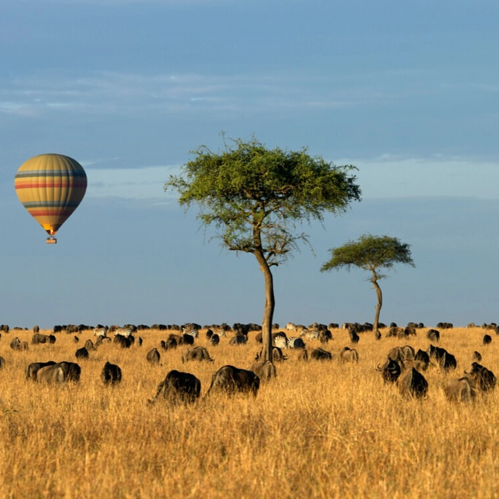 9 Days Savannah Adventure Safari Attractions