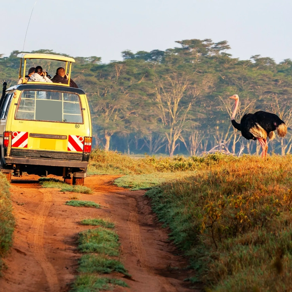 9 Days Savannah Adventure Safari Gamedrive