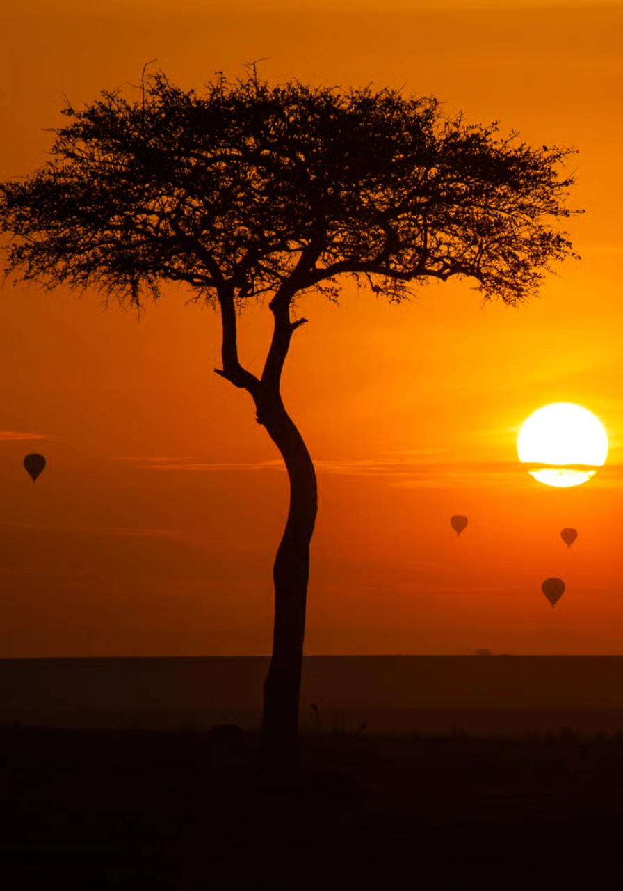 9 Days Savannah Adventure Safari Attractions