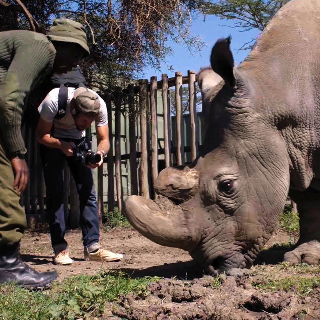 9 Days Wilderness Platinum Safari Wildlife