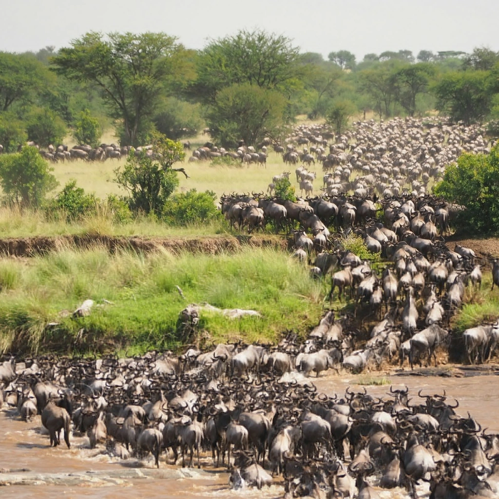 9 Days Wilderness Platinum Safari Attractions