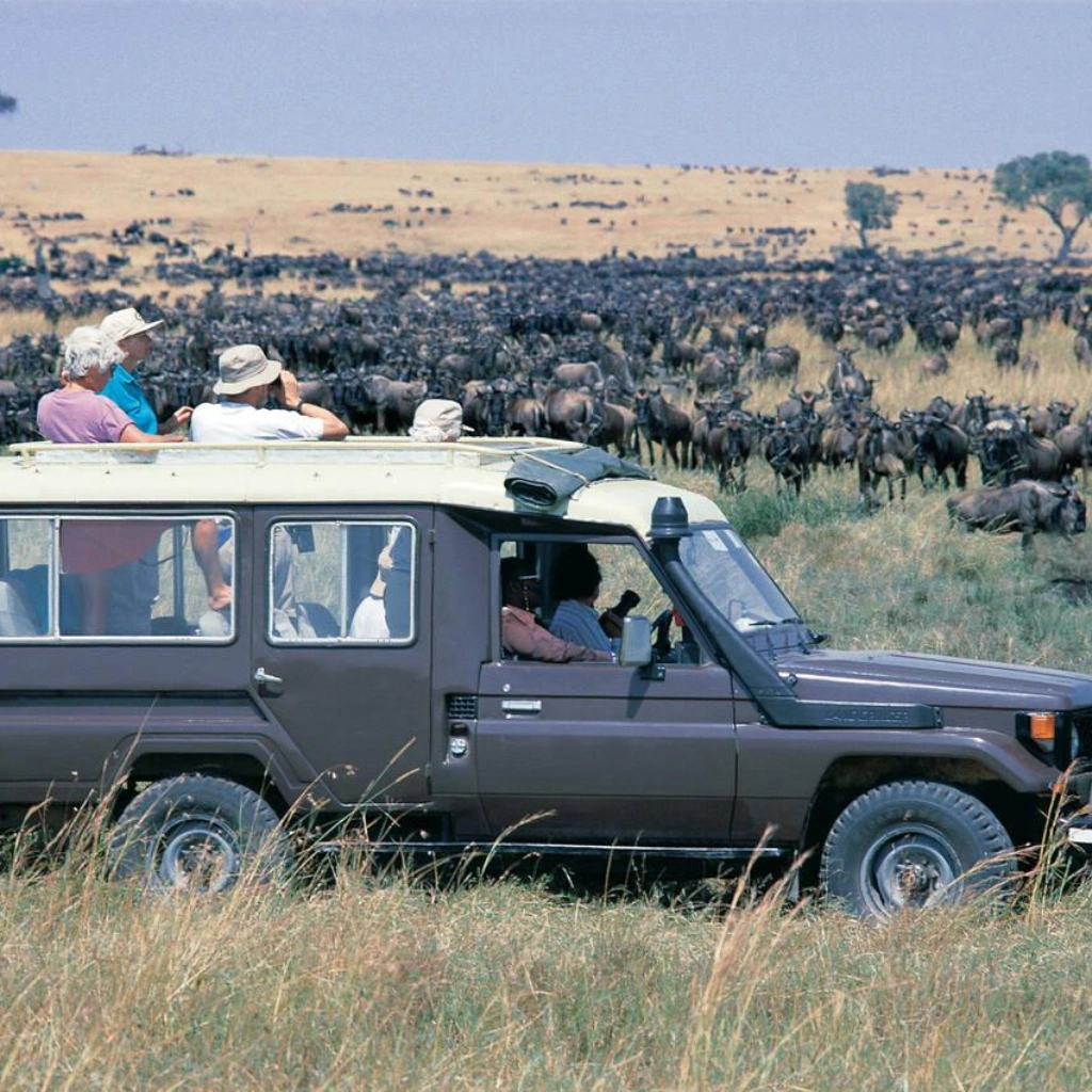 9 Days Wilderness Platinum Safari Gamedrive