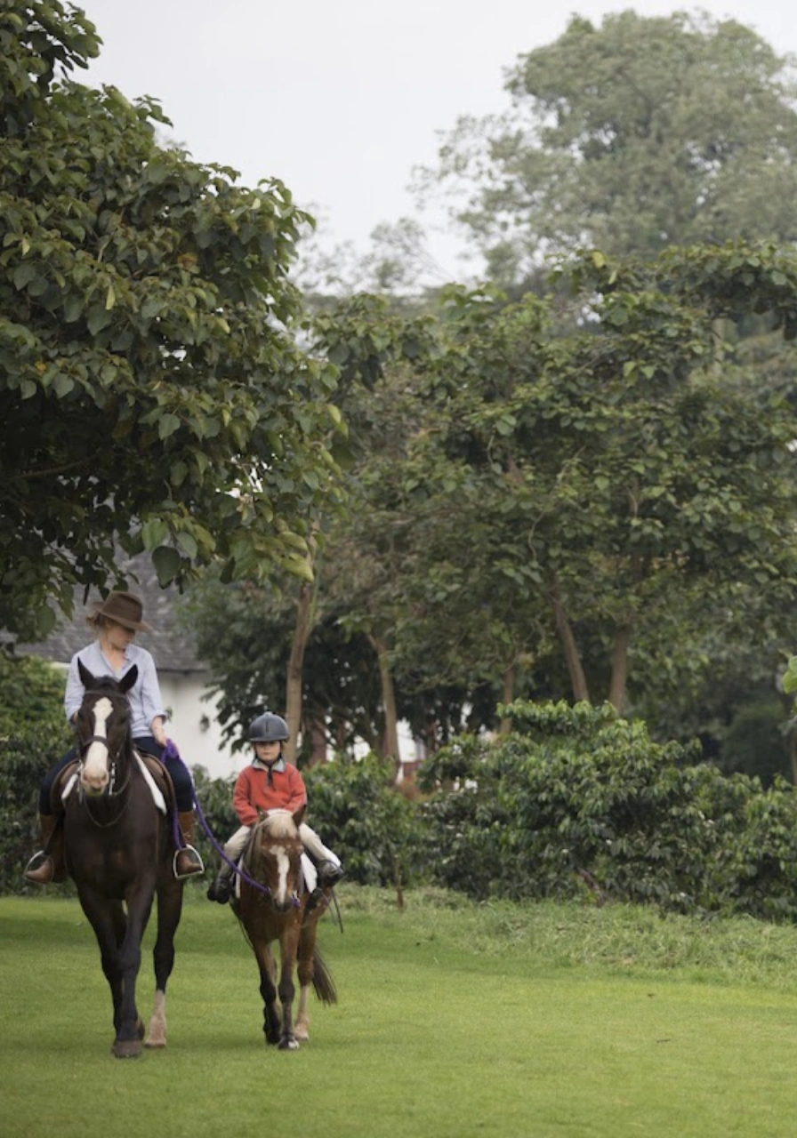 10-days-tanzania-luxury-flying-safari-6