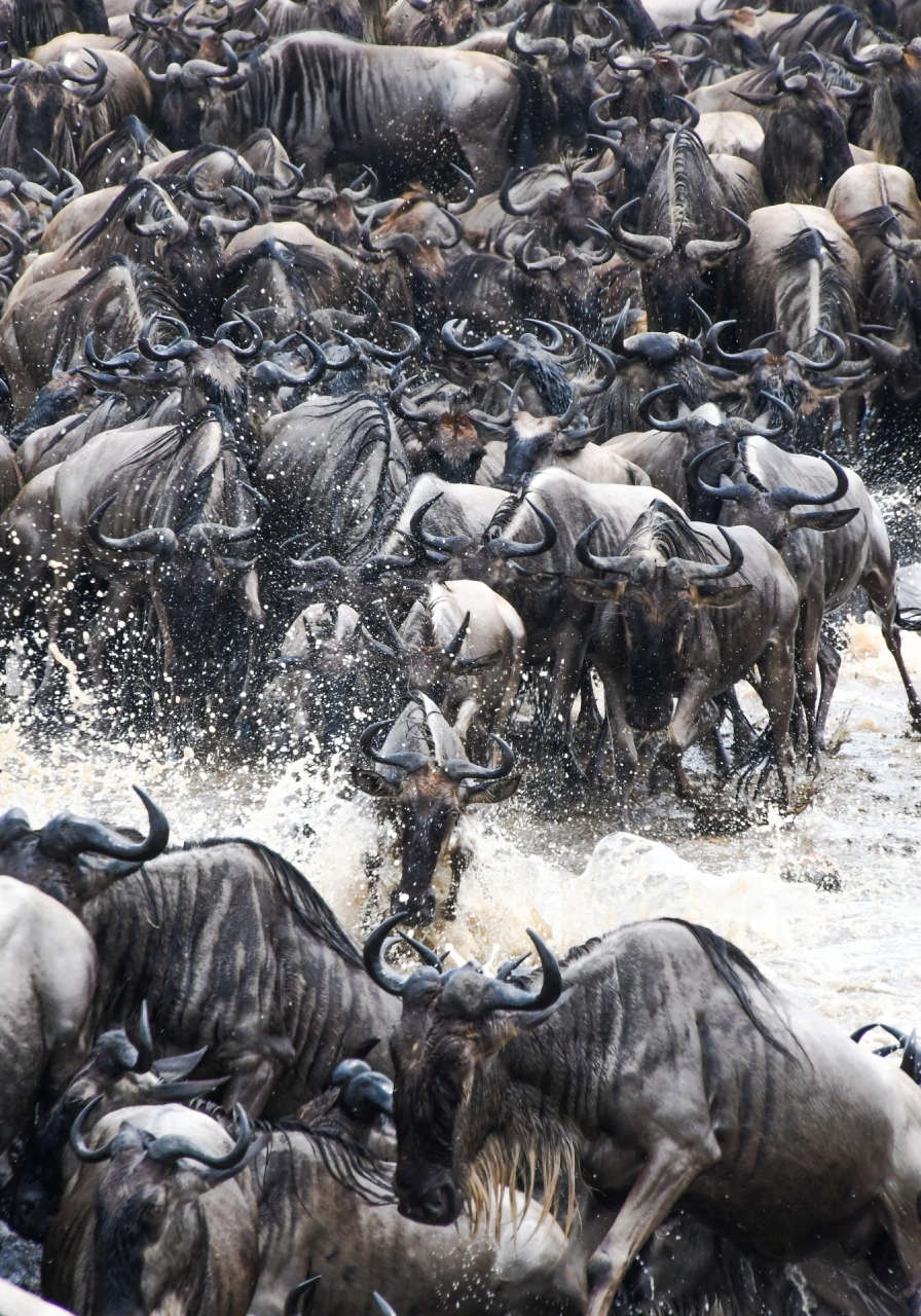 10-days-ultimate-northern-circuit-safari-2