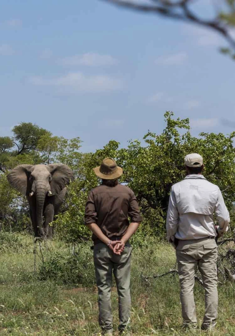 10-days-ultimate-northern-circuit-safari-5