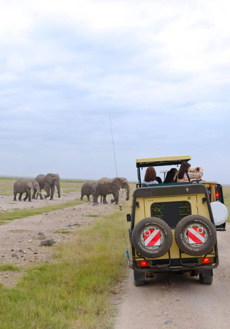 2-days-amboseli-national-park-safari-5