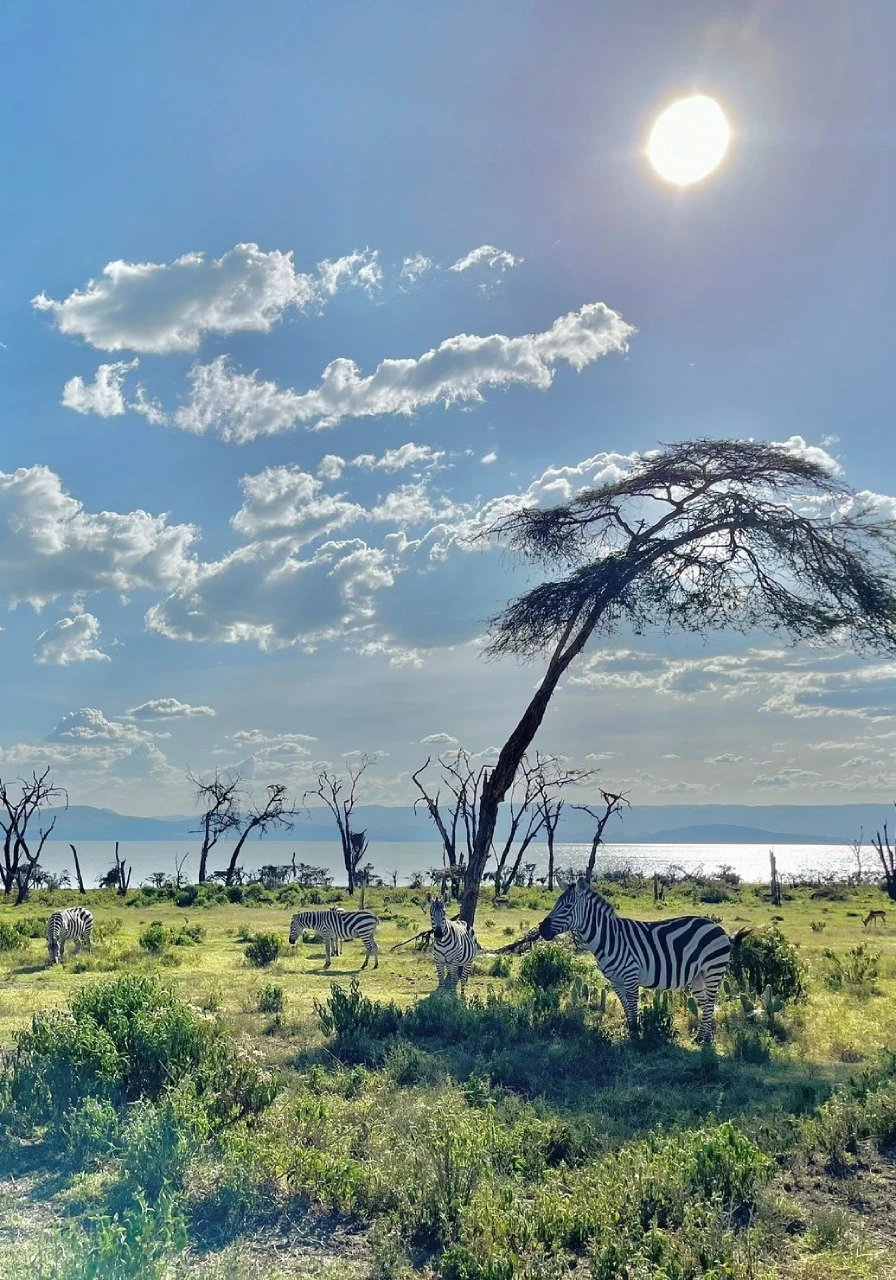 2-days-lake-nakuru-national-park-safari-3