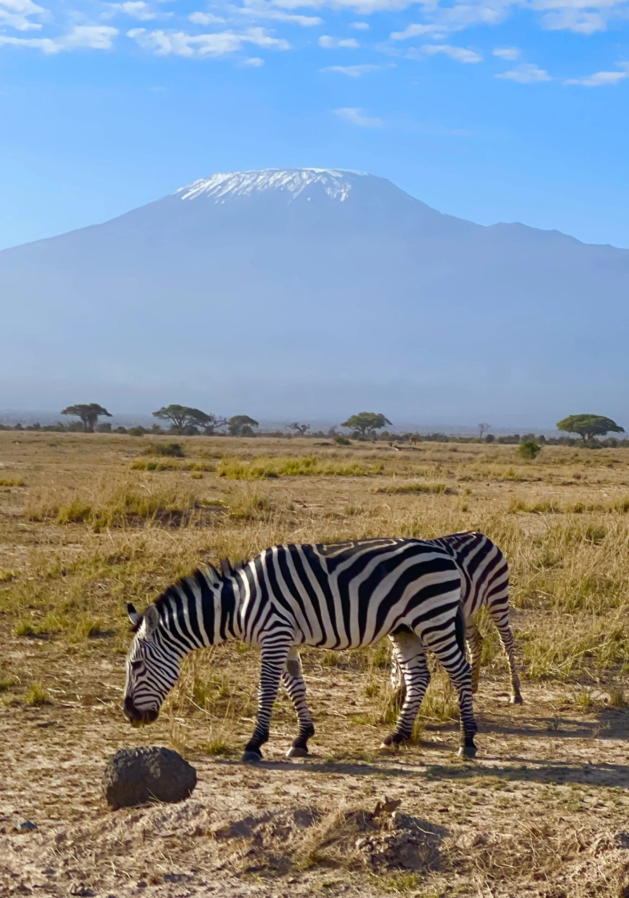 3-days-amboseli-national-park-safari-3