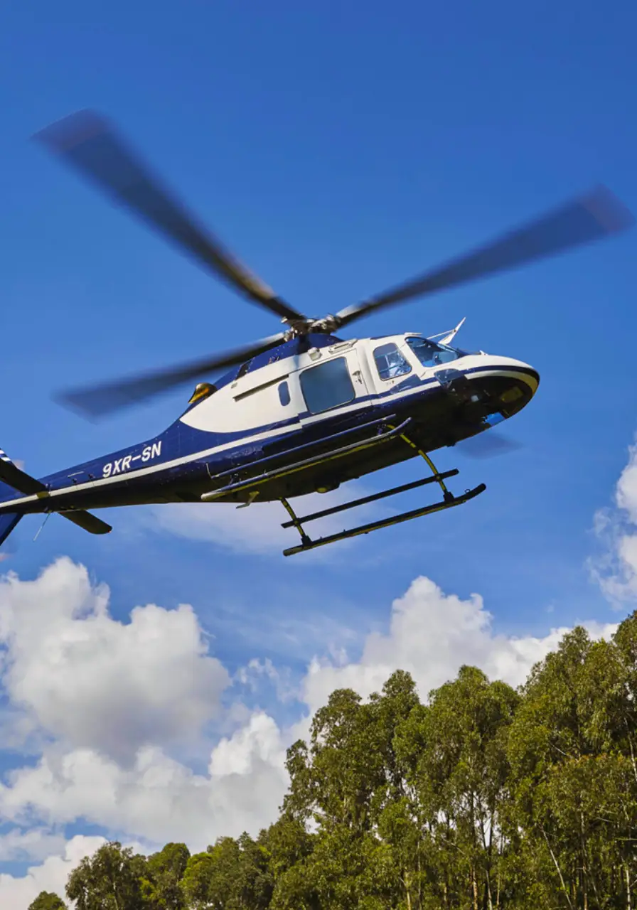 4-day-fly-in-gorilla-safari-north-buhoma-1