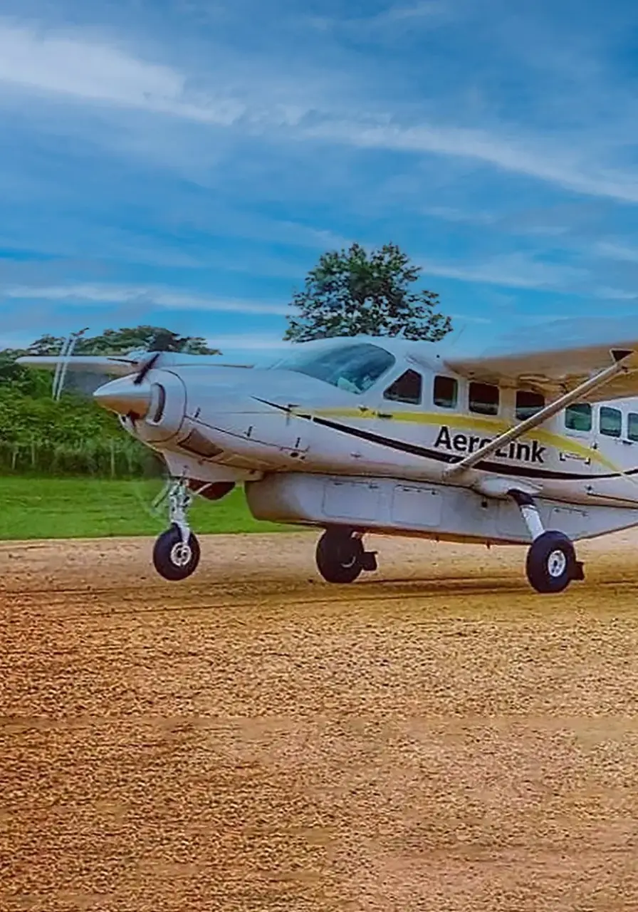 4-day-fly-in-gorilla-safari-north-buhoma-2