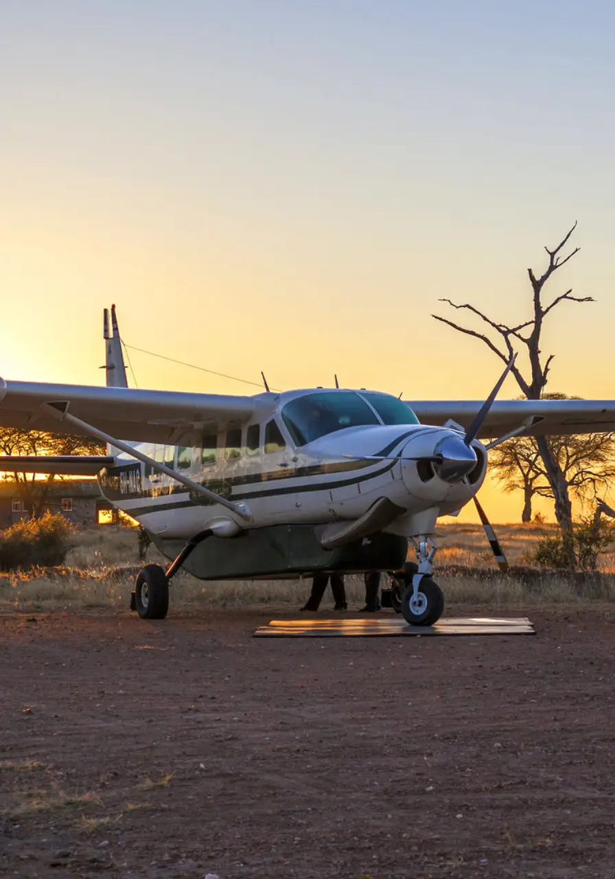 4-day-fly-in-gorilla-safari-north-buhoma-3