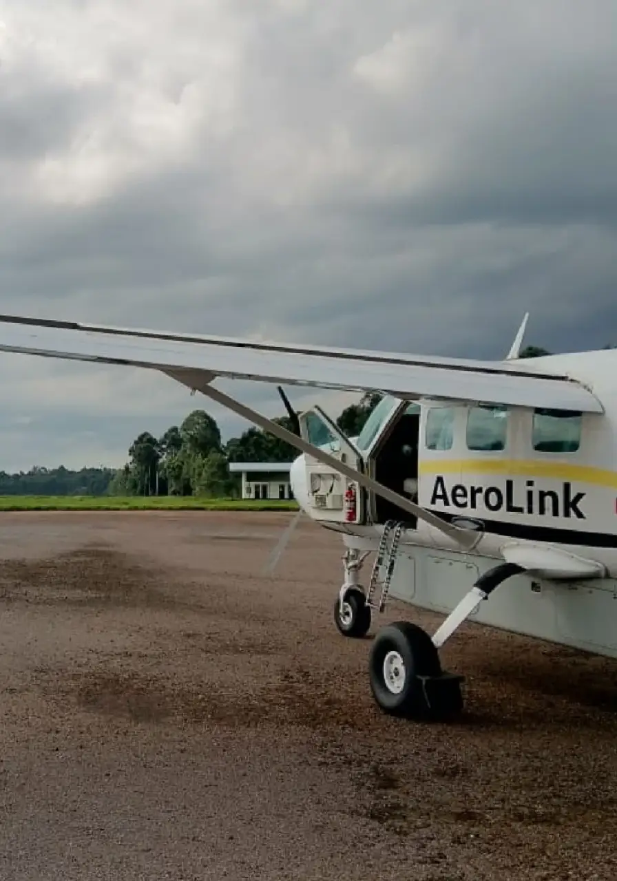4-day-fly-in-gorilla-safari-north-buhoma-5