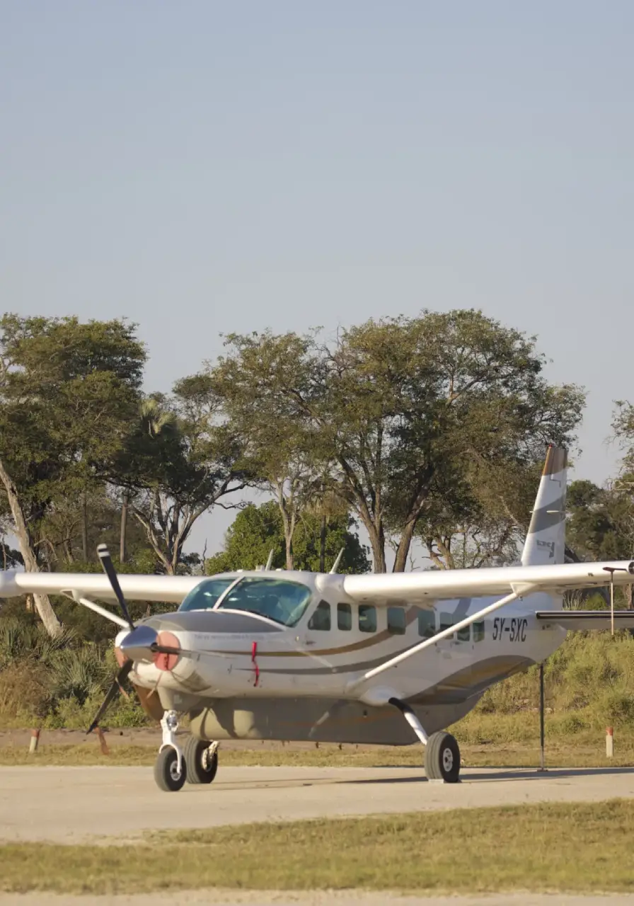 4-day-fly-in-gorilla-safari-north-buhoma-6