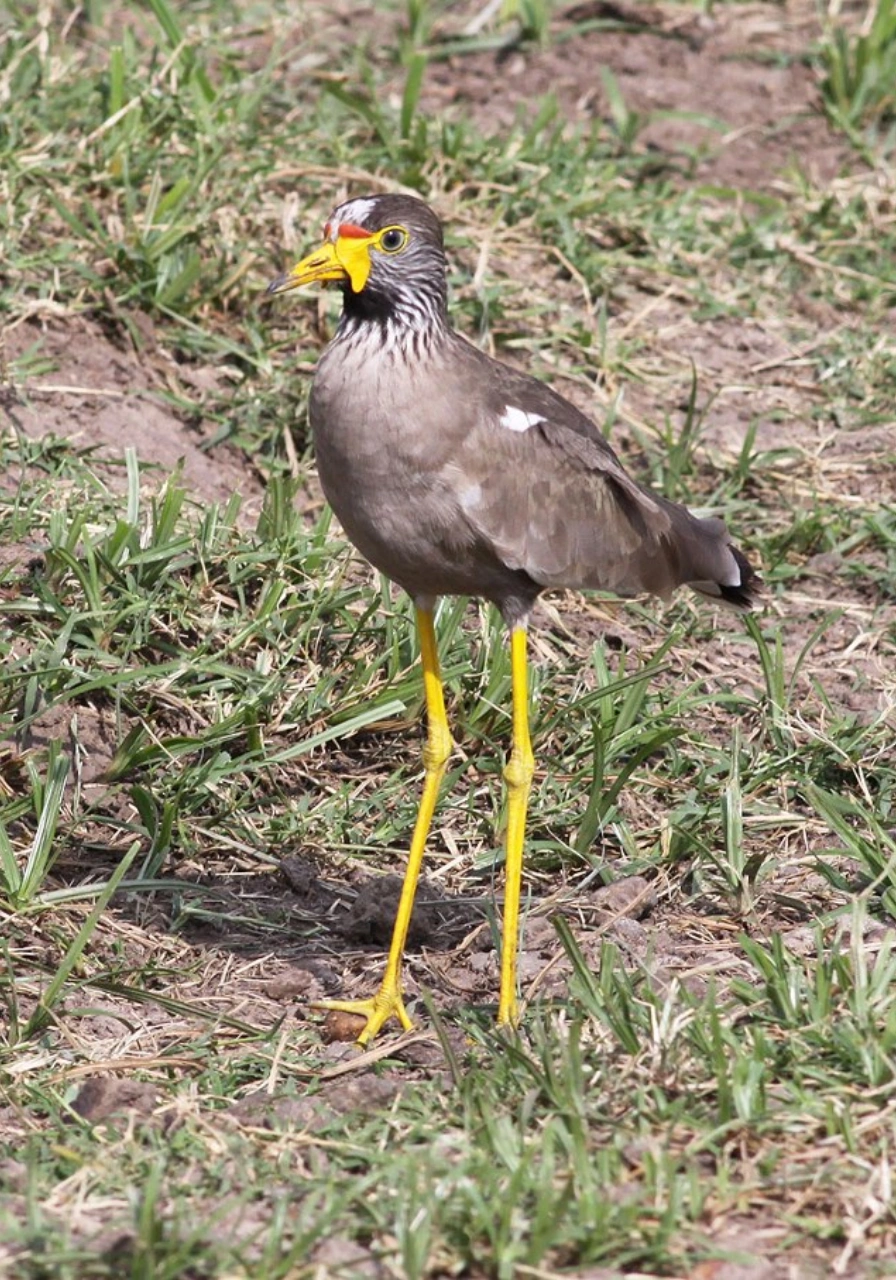 5-days-4-nights-wilderness-experience-by-soroi-2