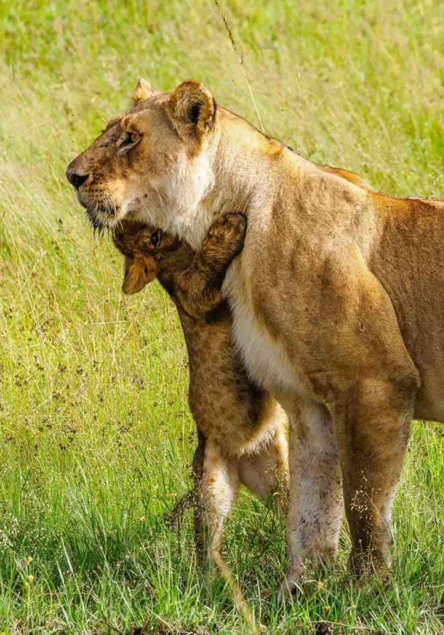 5-days-4-nights-wilderness-experience-by-soroi-3