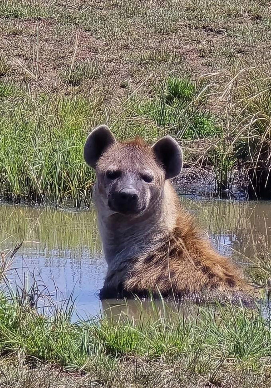 5-days-4-nights-wilderness-experience-by-soroi-4