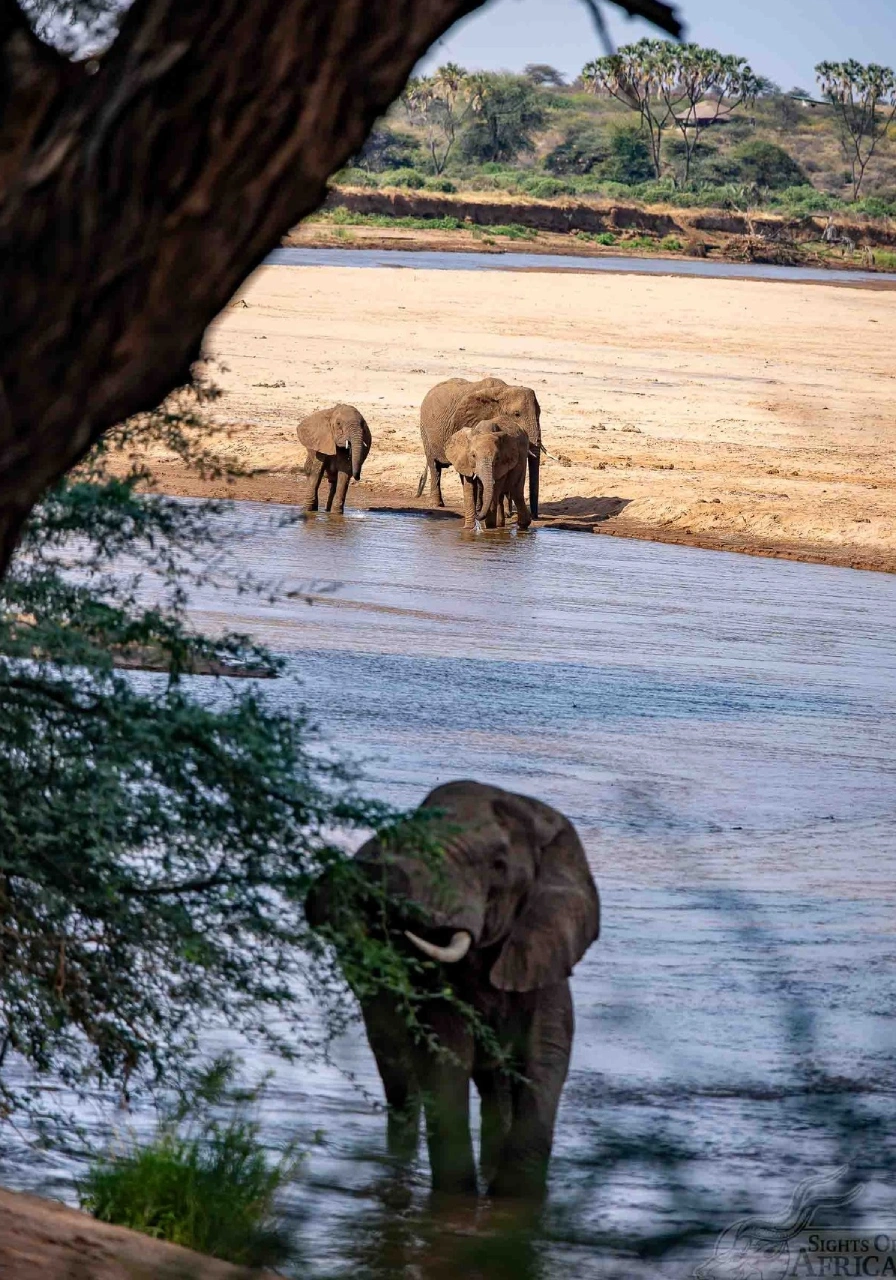 5-days-4-nights-wilderness-experience-by-soroi-6