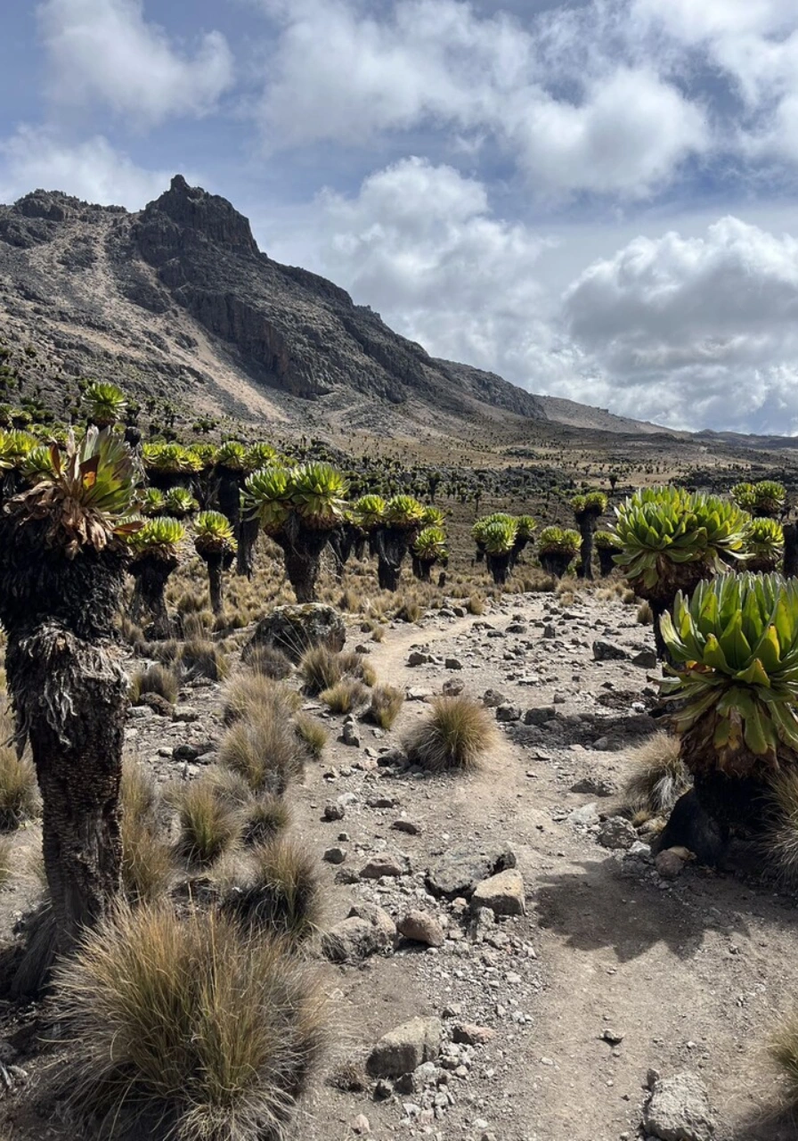 5-days-chogoria-trek-6