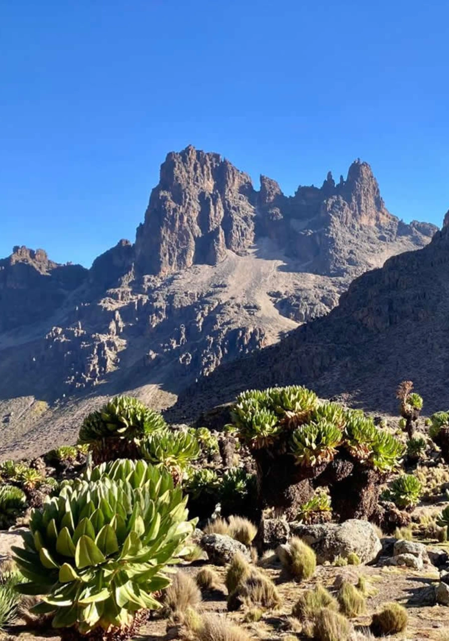 6-days-chogoria-trek-6