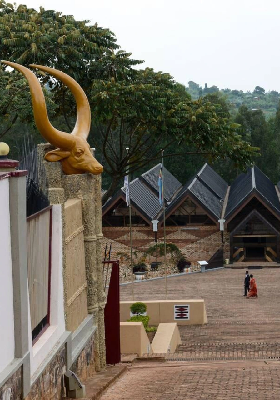 6-days-gorillas-chimpanzee-trekking-3