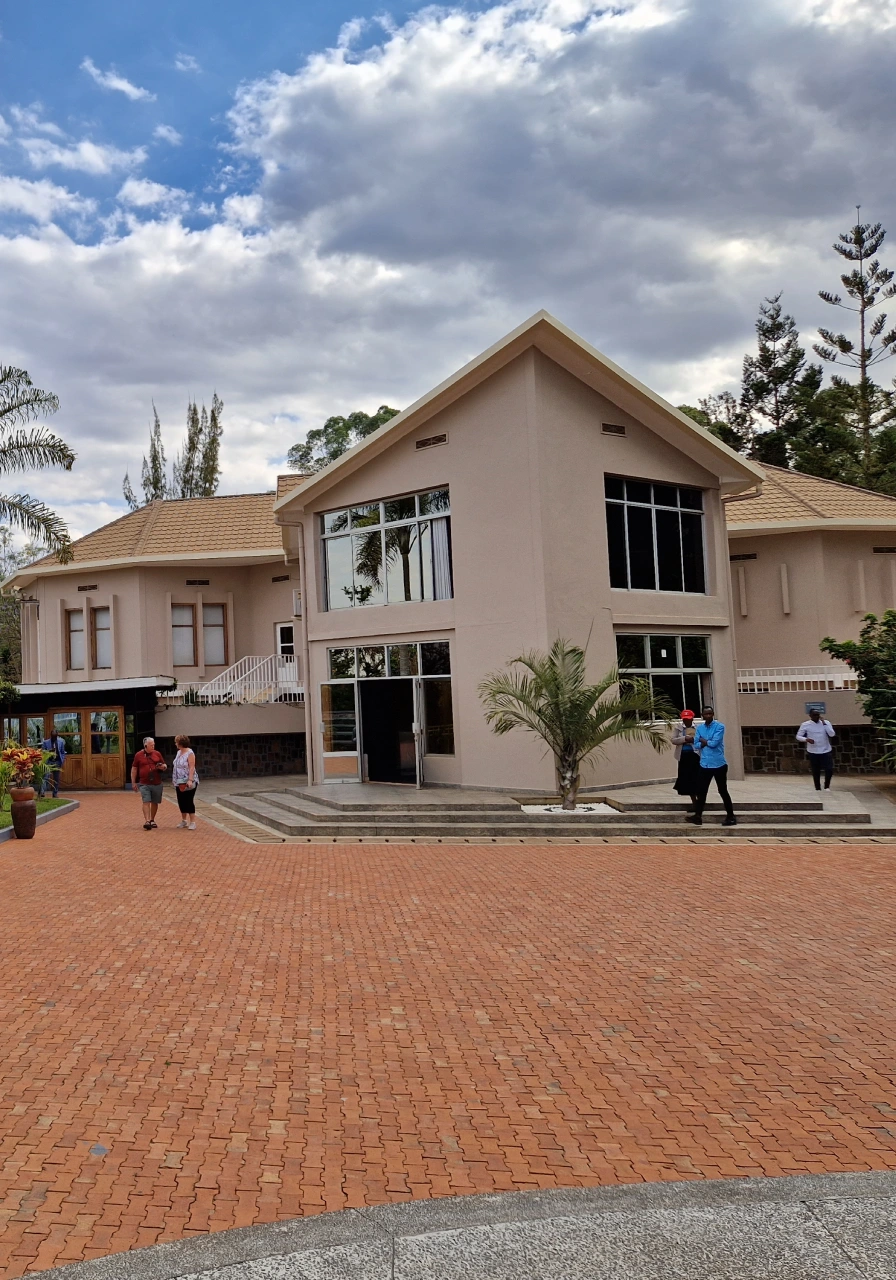 6-days-gorillas-chimpanzee-trekking-6