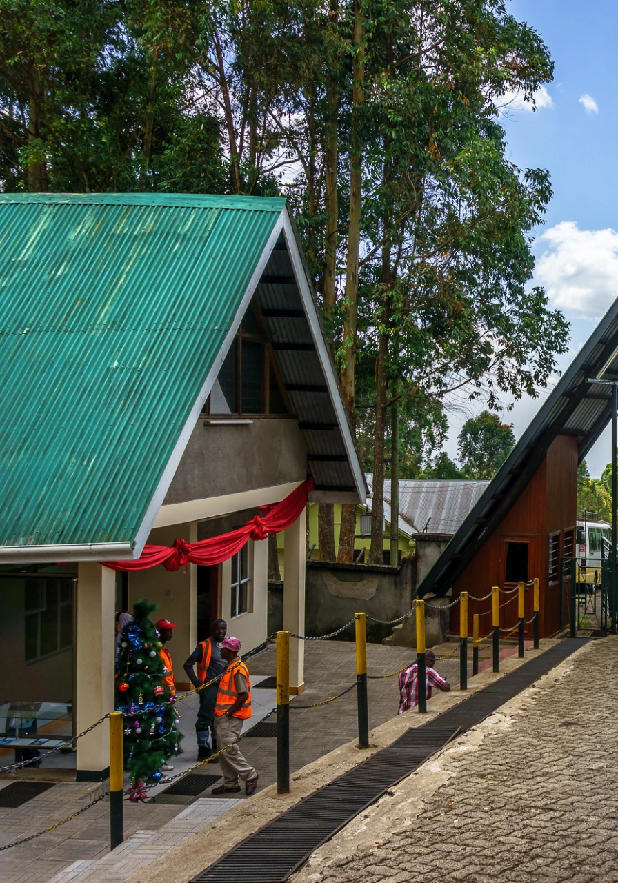 6-days-machame-route-6