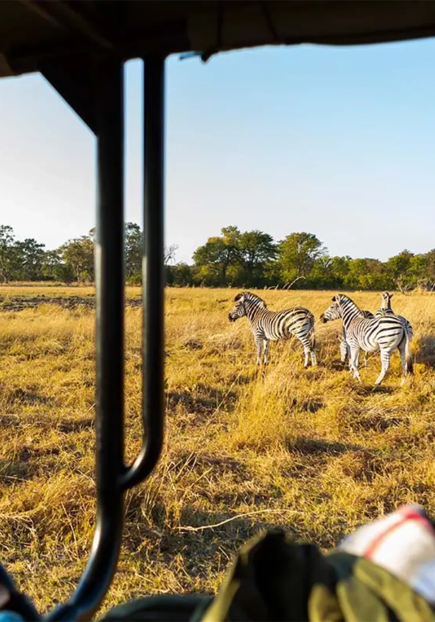 7-days-6-nights-over-the-wilderness-by-soroi-2