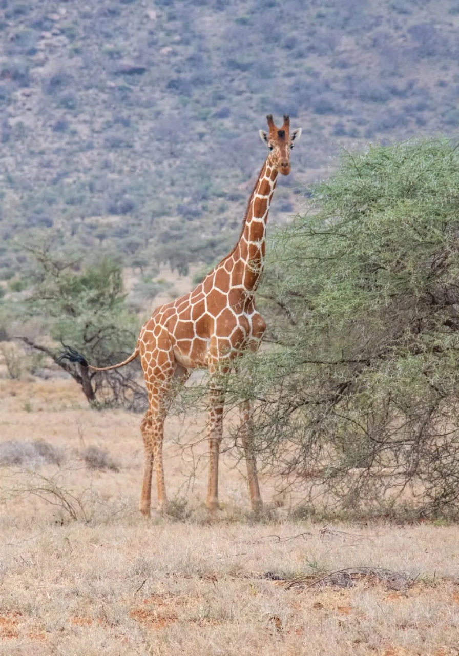 7-days-6-nights-over-the-wilderness-by-soroi-3