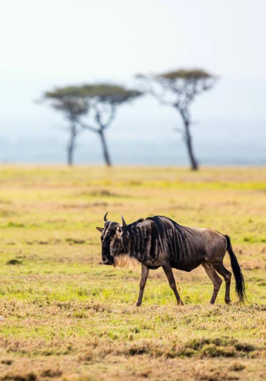 7-days-6-nights-over-the-wilderness-by-soroi-4