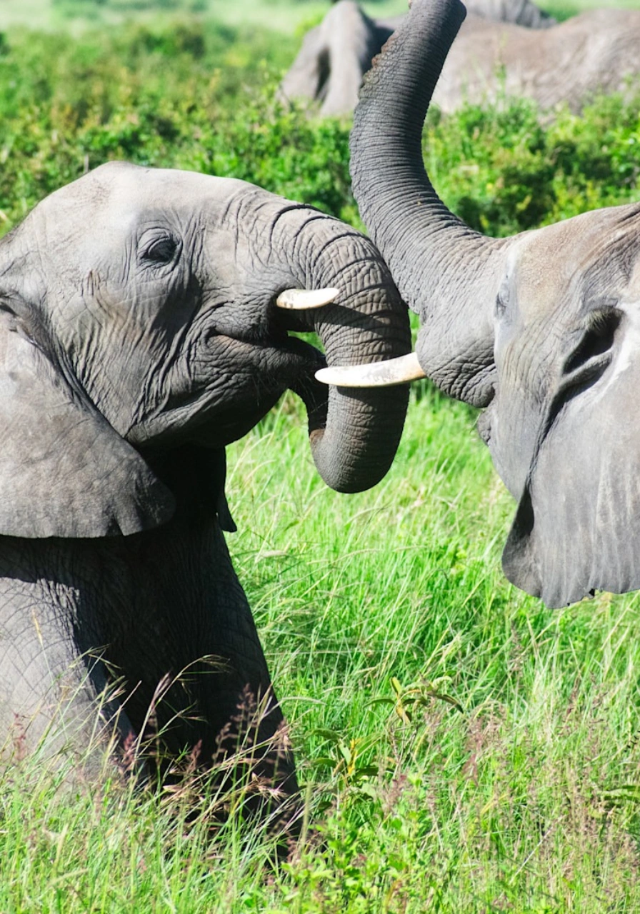 7-days-6-nights-over-the-wilderness-by-soroi-5