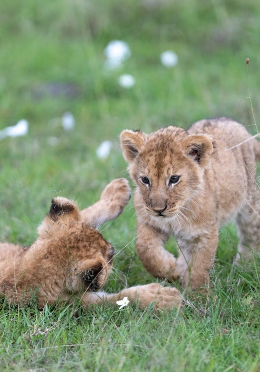 7-days-6-nights-over-the-wilderness-by-soroi-6