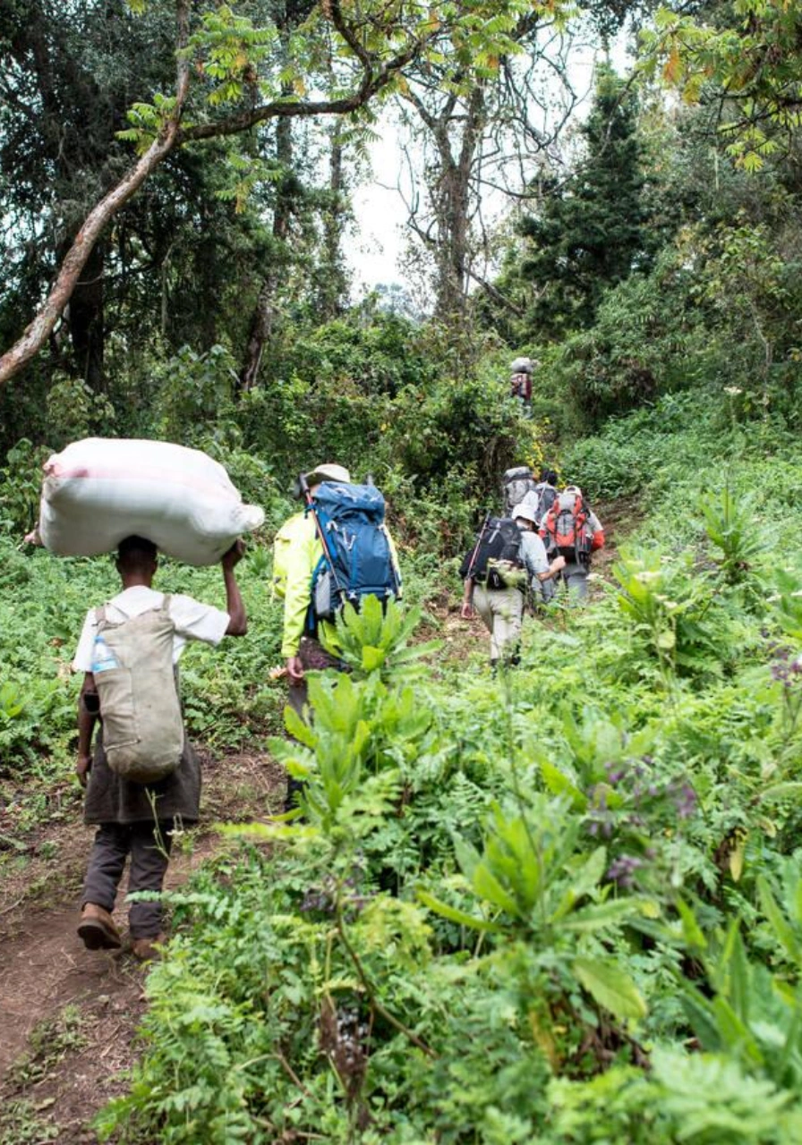 7-days-lemosho-route-5