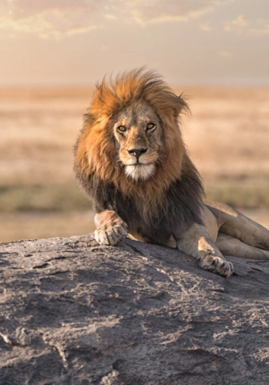 7-days-tanzania-big-five-safari-2