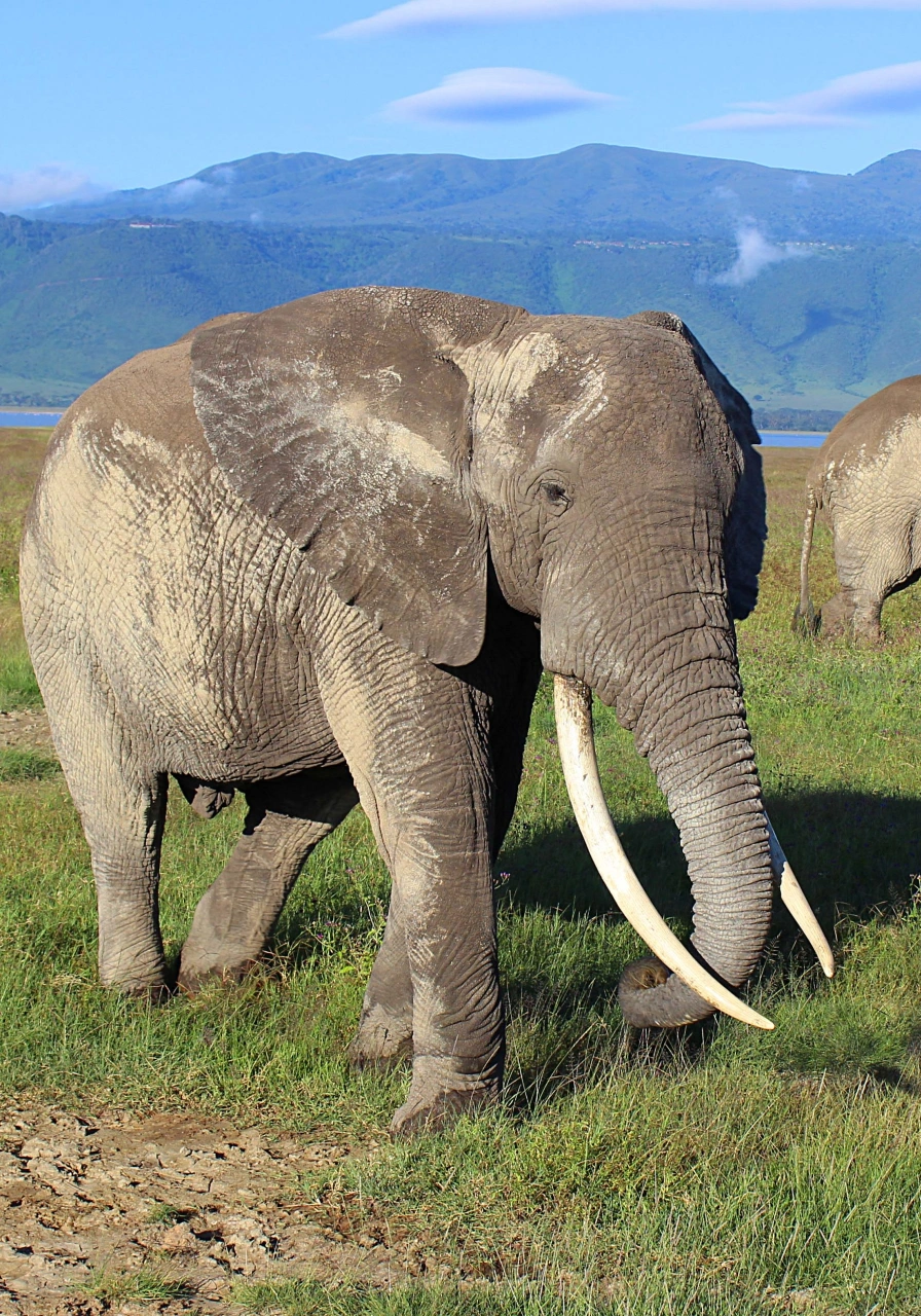 7-days-tanzania-big-five-safari-4