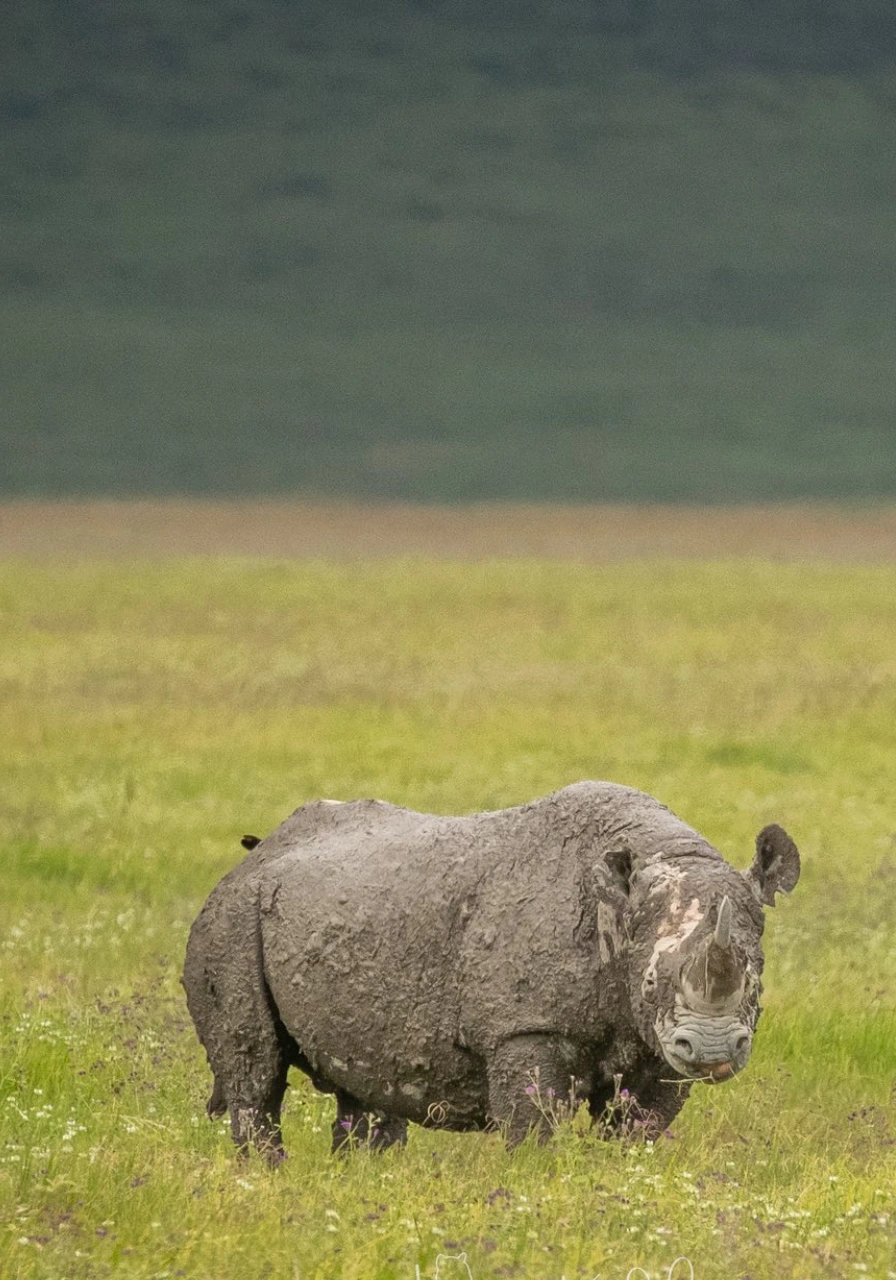 7-days-tanzania-big-five-safari-5